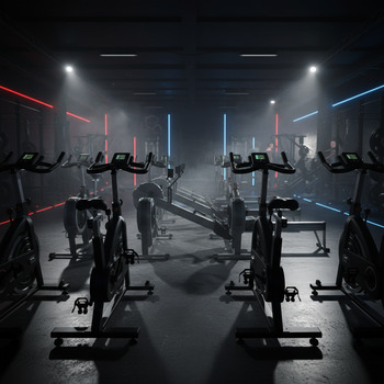 Bikes and rowers aligned in the engine area